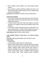 Referāts 'Rūpniecības preču tirdzniecība', 13.