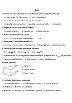 Prezentācija 'Prizma', 16.