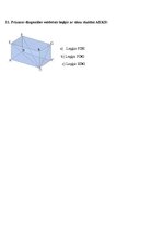 Prezentācija 'Prizma', 17.