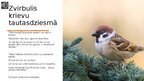 Prezentācija 'Koku un putnu simbolika', 7.
