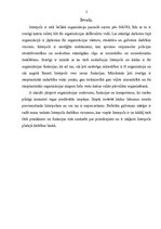 Referāts 'Interpols, tā funkcijas un raksturojums', 1.