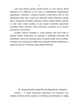 Referāts 'Interpols, tā funkcijas un raksturojums', 5.