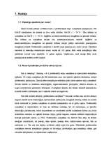 Referāts 'Biznesa plānam izvēlētās nozares un produkta analīze', 4.