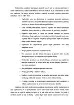 Referāts 'Biznesa plānam izvēlētās nozares un produkta analīze', 5.