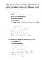 Referāts 'Biznesa plānam izvēlētās nozares un produkta analīze', 6.