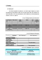 Referāts 'Biznesa plānam izvēlētās nozares un produkta analīze', 10.