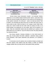 Referāts 'Biznesa plānam izvēlētās nozares un produkta analīze', 11.