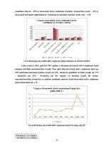 Referāts 'Biznesa plānam izvēlētās nozares un produkta analīze', 13.