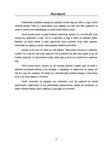 Referāts 'Biznesa plānam izvēlētās nozares un produkta analīze', 21.