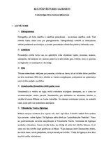 Konspekts 'Kultūrvēstures laikmeti', 1.