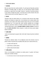 Konspekts 'Kultūrvēstures laikmeti', 7.