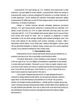 Referāts 'Z/s ražošanas plāns', 5.