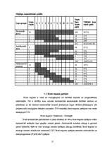 Referāts 'Z/s ražošanas plāns', 19.