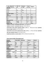 Referāts 'Z/s ražošanas plāns', 21.