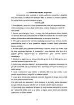 Referāts 'Z/s ražošanas plāns', 29.