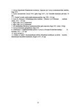 Referāts 'Z/s ražošanas plāns', 31.