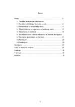 Referāts 'Sociālās rehabilitācijas iespējas alkohola atkarības novēršanā', 2.