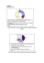 Referāts 'Latīņu valodas loma skolu izglītībā Latvijas teritorijā', 35.