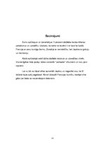 Referāts 'Ārvalstu viesu apkalpošana', 13.