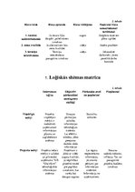 Referāts 'Projekta pieteikums "AS "Olainfarm" tehnoloģisko informācijas sistēmu pilnveidoš', 8.