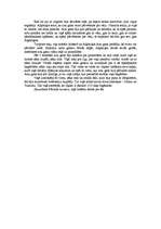 Eseja 'Paulu Koelju romāna "Alķīmiķis” analīze', 2.