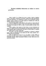 Eseja 'Paulu Koelju romāna "Alķīmiķis” analīze', 6.