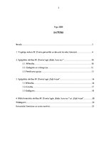 Referāts 'Vērtības Mārtiņa Zīverta kamerlugās "Kāds, kura nav" un "Zaļā krūze" ', 2.