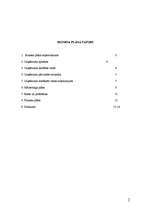 Biznesa plāns 'SIA "MMR koks"', 2.