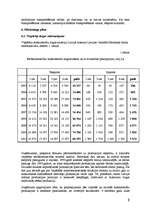 Biznesa plāns 'SIA "MMR koks"', 8.