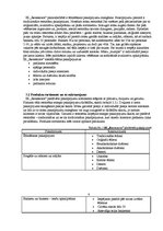 Biznesa plāns 'Restorāns "Renesance"', 8.