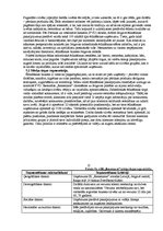 Biznesa plāns 'Restorāns "Renesance"', 13.