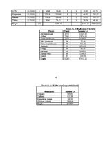 Biznesa plāns 'Restorāns "Renesance"', 19.