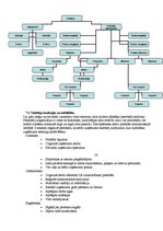 Biznesa plāns 'Restorāns "Renesance"', 21.