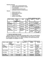 Biznesa plāns 'Restorāns "Renesance"', 22.