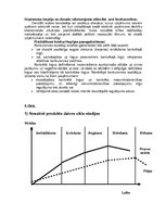Prakses atskaite 'Mārketinga audita izziņa', 5.