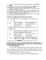 Prakses atskaite 'Mārketinga audita izziņa', 6.