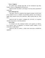 Prakses atskaite 'Mārketinga audita izziņa', 7.