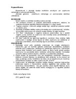 Prakses atskaite 'Mārketinga audita izziņa', 10.