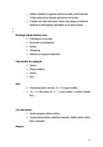 Referāts 'Enerģijas dzērieni un to ietekme uz cilvēku', 11.