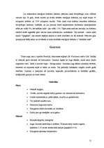 Referāts 'Enerģijas dzērieni un to ietekme uz cilvēku', 12.