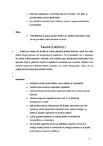 Referāts 'Enerģijas dzērieni un to ietekme uz cilvēku', 13.