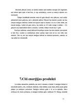 Referāts 'Enerģijas dzērieni un to ietekme uz cilvēku', 21.