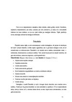 Referāts 'Enerģijas dzērieni un to ietekme uz cilvēku', 31.