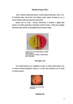 Referāts 'Barotnes un testi, ko var izmantot G.Staphylococcus selekcijai un diferencēšanai', 2.