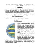 Referāts 'Augsne, zeme un zemes izmantošana globālā un reģionālā aspektā', 1.