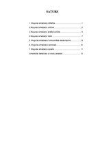 Konspekts 'Muguras smadzenes', 1.