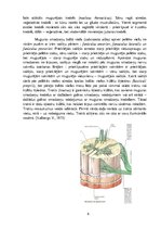 Konspekts 'Muguras smadzenes', 6.