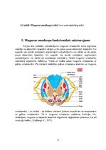 Konspekts 'Muguras smadzenes', 9.