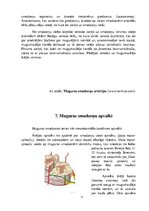 Konspekts 'Muguras smadzenes', 11.