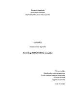 Referāts 'Mārketinga komunikāciju komplekss', 1.